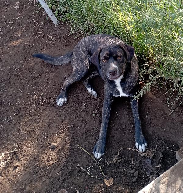 Gemma e Giada sorelline vivaci e allegrotte Foto 4